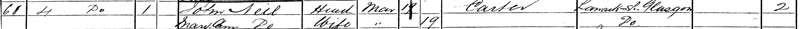 1881-04-03 CEN John Neil + Mary Ann Chrystal - 4 Surrey Street [[N035-clip]]