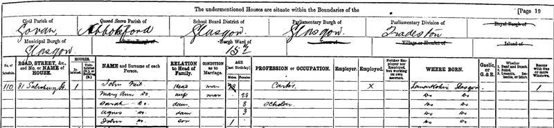 1891-04-05 CEN John Neil + Mary Ann Chrystal - 31 Salisbury Street [[N036-clip]]