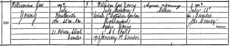 1917-07-14 BIR Williamina Young child of William Gow Young and Agnes Neill, 21 Nelson Street, Dundee [[N469]]