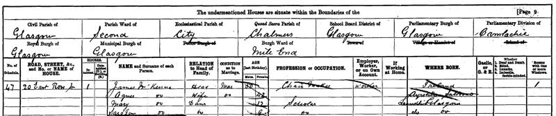 1901-03-31 CEN Mary McKenna child of James McKenna and Agnes Miller 20 East Rose Street, Calton [[N477]]