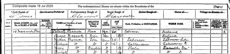 1871-04-02 CEN  Patrick Barrett + Bridget Haggerty, 29 Margaret Place, St James, Glasgow, Lanarkshire, Scotland [[N546-clip]]