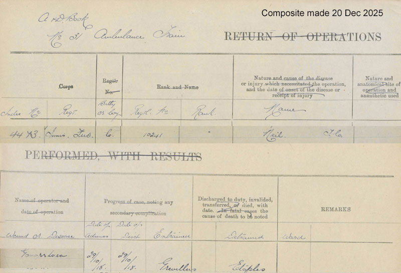 1918-09-29 WW1 Medical and Sick Record Timothy Chrystal Neil [[N149b-clip]]